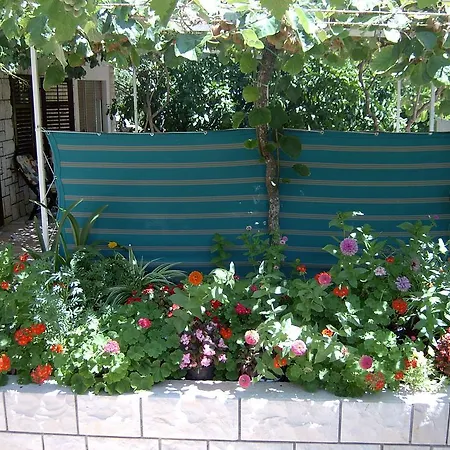 Lucija * Stari Grad (Hvar)